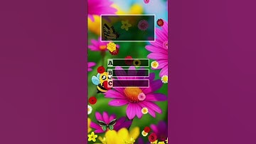 #quiztime #funny #dailyvlog #quiz #mindbendingquiz