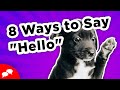 8 Ways to say &quot;Hello&quot; in English