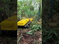 Remote-controlled intelligent lawn mowing robots. Looks very powerfu!