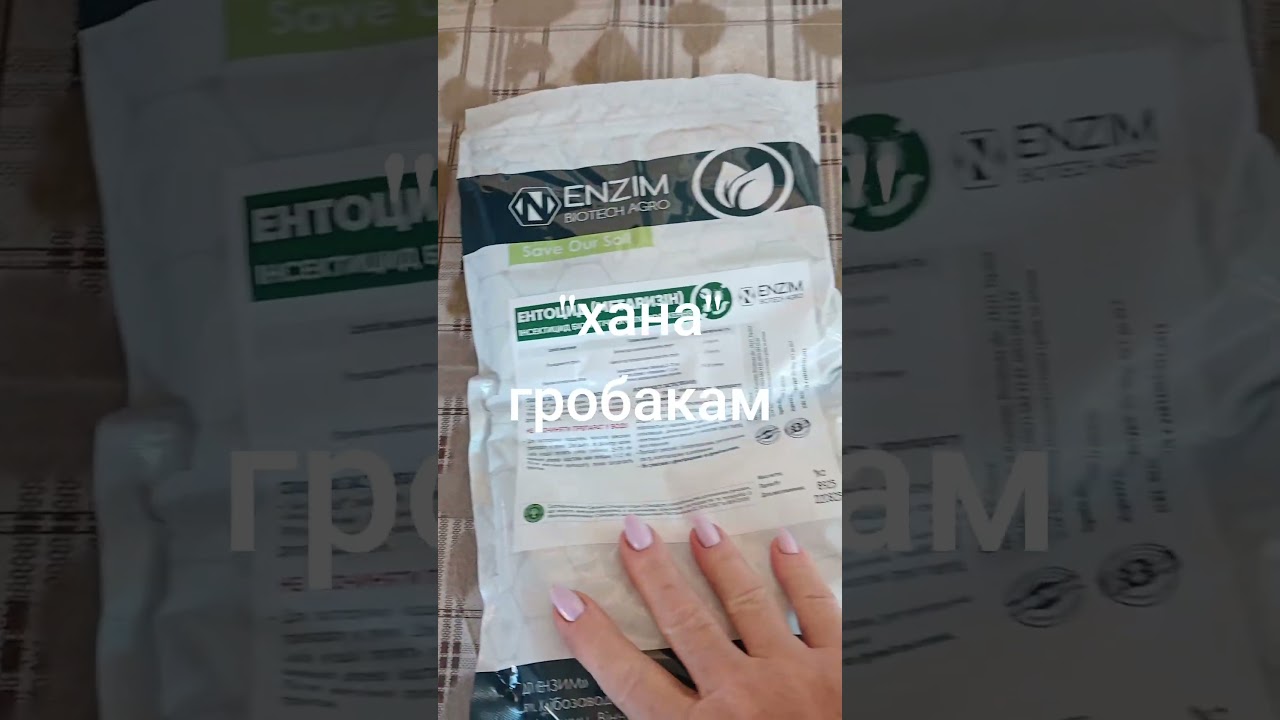 #гортенземанка