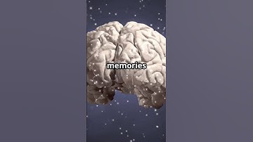 Why Your Brain “Reboots” After Sleep | Memory Reset in Seconds #sleep #brain #shorts #new #science