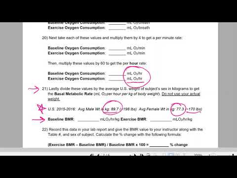 BI233L Ex. 28 Hormonal Action