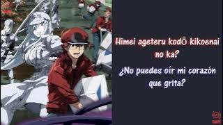 Opening • Hataraku Saibou Black • HASHIRE! - POLYSICS • Sub español y Romaji
