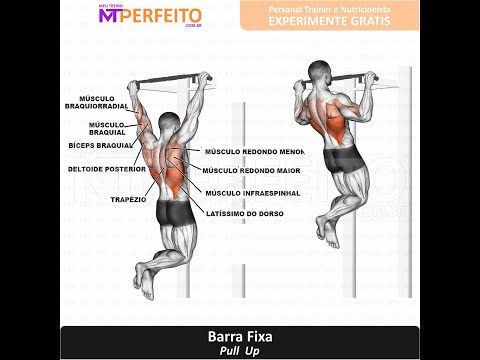 Mais de 840 exercícios físicos com vídeo e explicação - Meu Treino Perfeito