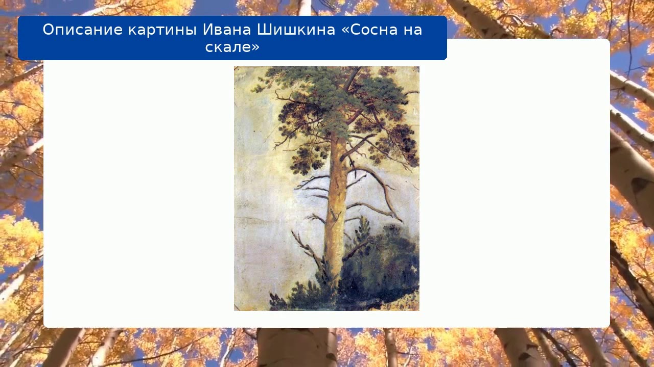 Картина шишкина сосна на скале