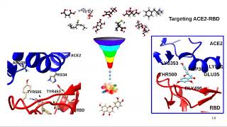 Molecular dynamics and related methods in macromolecules-drug interaction screenshot 5