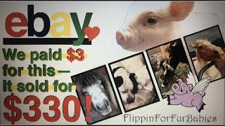 YOU can make great money selling these items on Ebay! You'll never guess what we sold for $330! by Where Pigs Fly Farm 132 views 2 years ago 12 minutes, 56 seconds