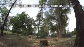 SOS Раменский парк