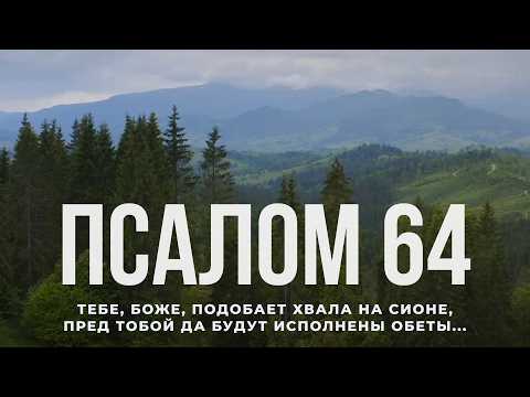 Psalm 64. Contemporary Bible Translation