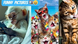 funny Video pictures 😂🖼️😂🖼️😂