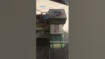 Automatic meat kebab skewing machine Meat Skewer Stringing Machine