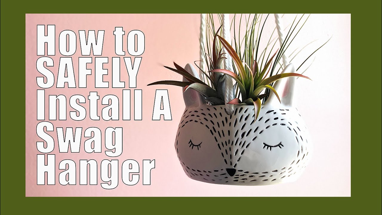 How To Hang A Plant From Your Ceiling Plant Hanger