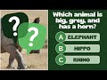 30 Fun Animal Quiz Questions for Kids 🐾 | Guess the Animal Game | Learning English with Pictures