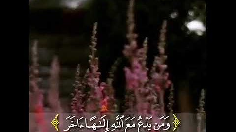 افحسبتم إنما خلقناكم عبثا/حالات حالات وتس اب / القارئ رعد الكردي/ تلاوه هادئه وشجيه