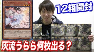 灰流うららは何枚出る？遊戯王をワンカートン（12箱）開封してみた