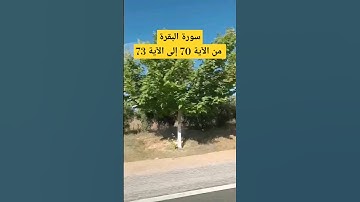 سورة البقرة من الآية 70 إلى الآية 73 || للقارئ الشيخ ماهر المعيقلي