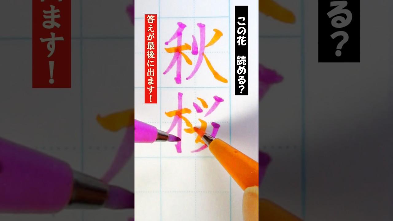 【二刀流】「秋桜」書いてみた! #両手書き #両利き #美文字 #難読漢字 #漢字クイズ #筆touchサインペン