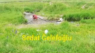 Paylaş