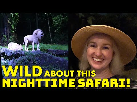 Video: Safari katika Singapore