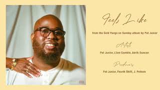 Pat Junior - Feels Like  ft. Liion Gamble & Aarik Duncan Resimi