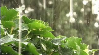 HAL HEBAT - GOVINDA (COVER BY METHA ZULIA) LAGU SEDIH POPULER