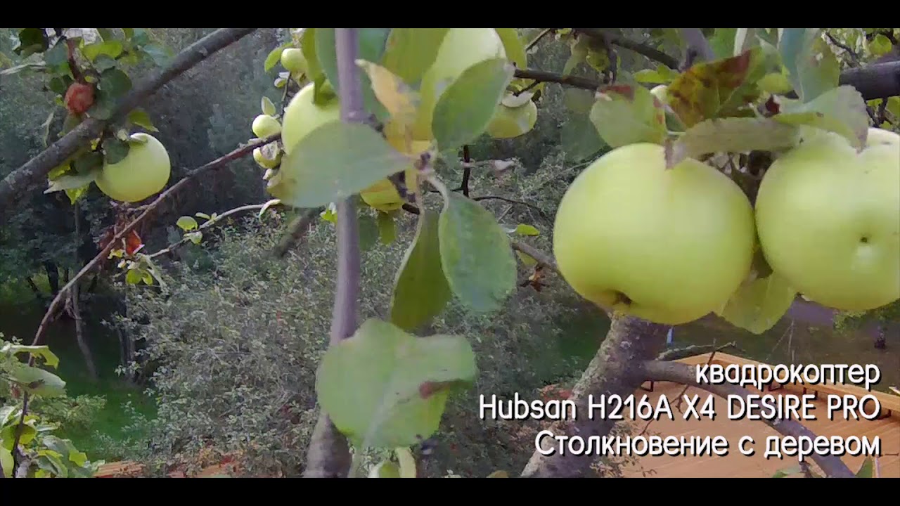 квадрокоптер Hubsan H216A X4 DESIRE PRO Врезался в дерево
