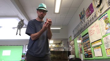 1a Yoyo Trick tutorial - GT Stop and Go