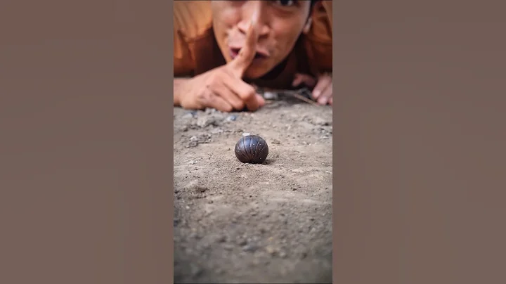 Don't blink, this is the cutest pill millipede in the world #pillmillipede #shorts
