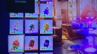 IMG 3100