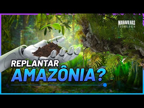 O robô que pode salvar a floresta mais importante do mundo
