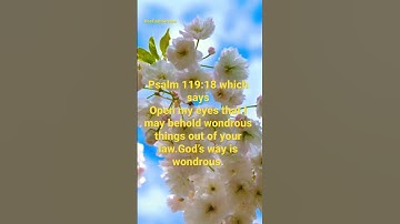 Thumbnail of Psalm 119:18 which says Open my eyes that I may behold wondrous things out of your law.God’s way…