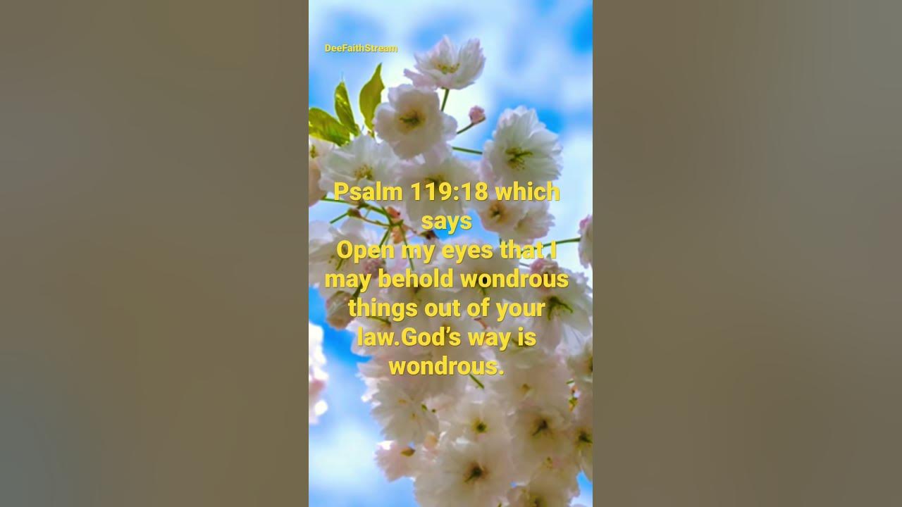 Psalm 119:18 which says Open my eyes that I may behold wondrous things out of your law.God’s way…