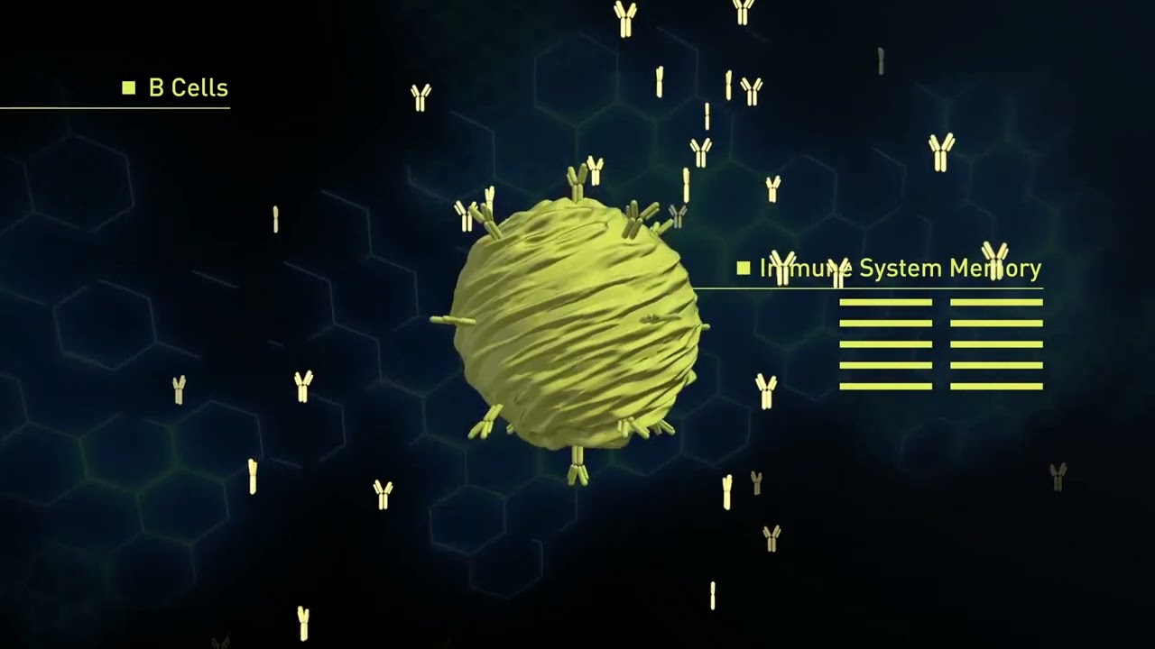 Which Transfer Factor is Right for you