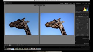 Intersect Mask - Lightroom Classic