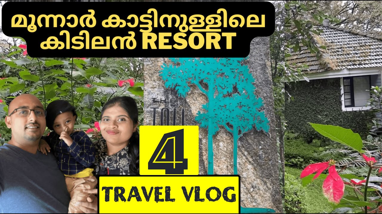 Tall Trees Forest Resort Munnar Kerala L Travel Vlog 4 L tall-trees-forest-resort-munnar-kerala-l-travel-vlog-4-l