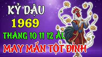 Tử Vi Tháng 10 – 11 – 12 Âm 2025 Tuổi Kỷ Dậu 1969 | Phát Đạt Bứt Phá, Phú Quý Ngập Tràn