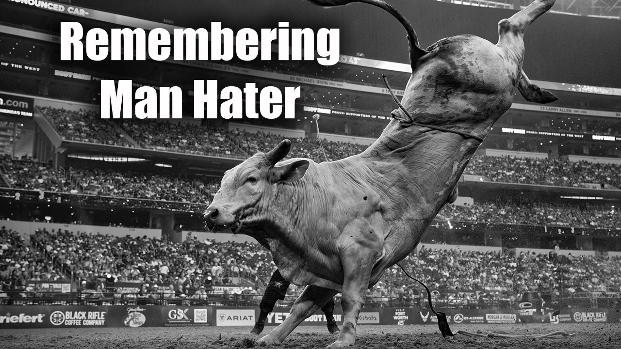 Remembering Man Hater: The Bull that Dominated the PBR