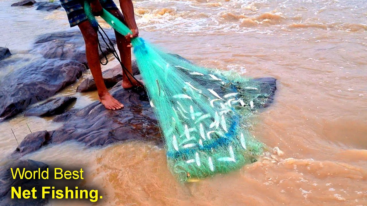 पहली बारिश में मछली पकड़ने का मजा ही अलग है | Caught Fish in The First Rain | best cast net fishing.
