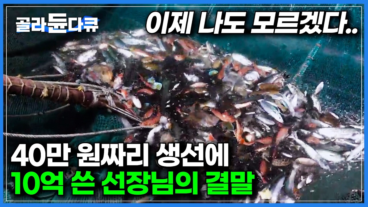 회로도 먹을 수 있는지 몰랐다. 최대 40만 원까지 한다는 국민생선｜1m짜리 대삼치를 잡기 위해 10억 원짜리 초대형 정치망까지 동원했더니｜겨울 제철 대삼치회｜극한직업｜#골라듄다큐