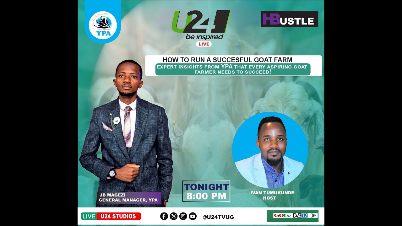 HOW TO RUN A SUCCESSFUL GOAT FARM