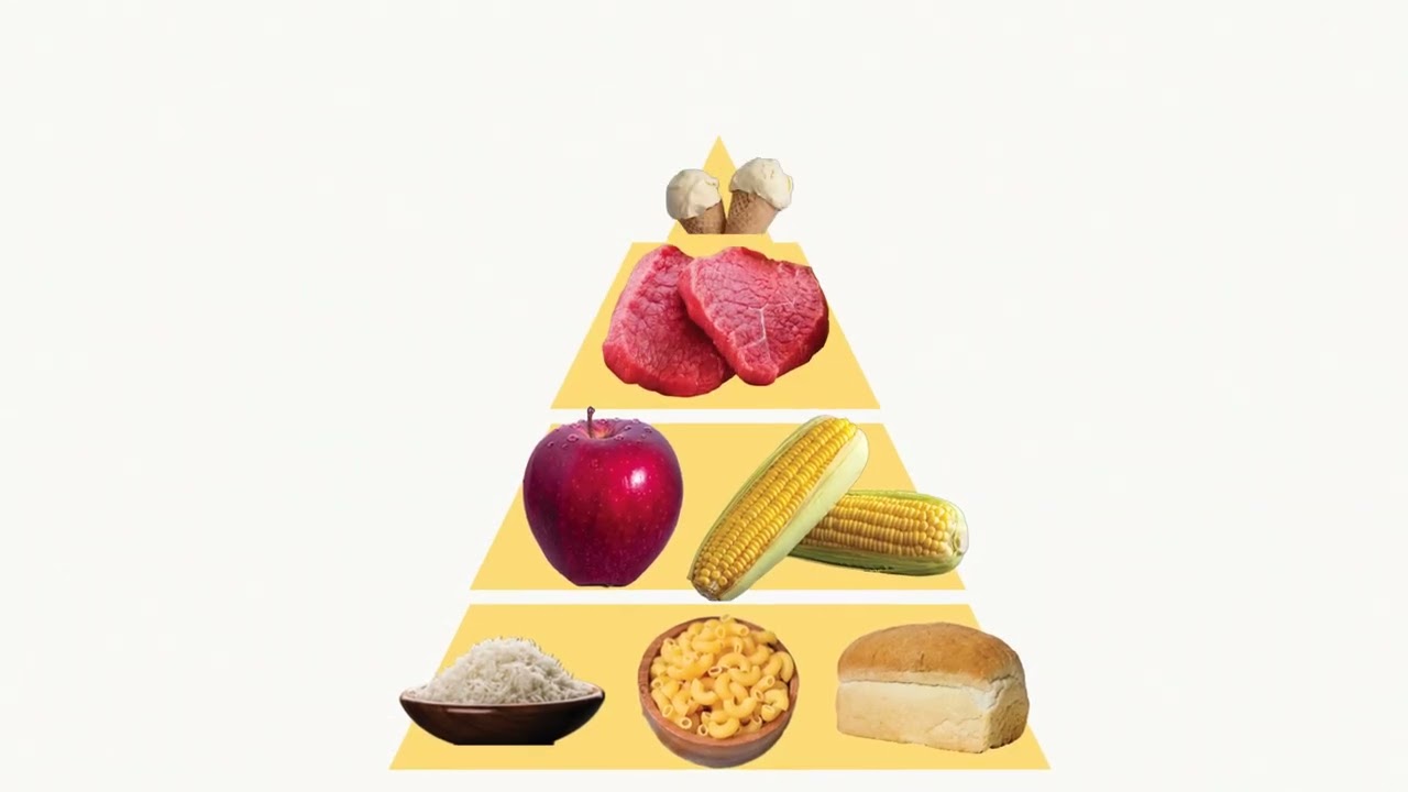 Food Pyramid Motion Graphic