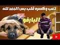 البارفو الفايروسات القاتله الحمدلله على كل شيء اعراضه والتعرف عليه