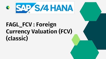 FAGL FCV : Foreign Currency Valuation (Classic)