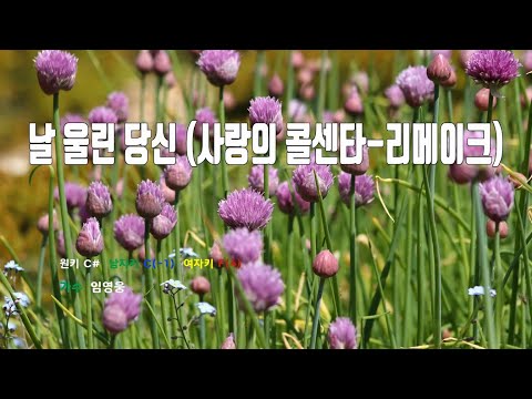 [은성 반주기] 날울린당신(사랑의콜센타-리메이크) - 임영웅