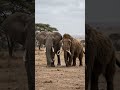 Separados pelo tempo, unidos pela evolução.