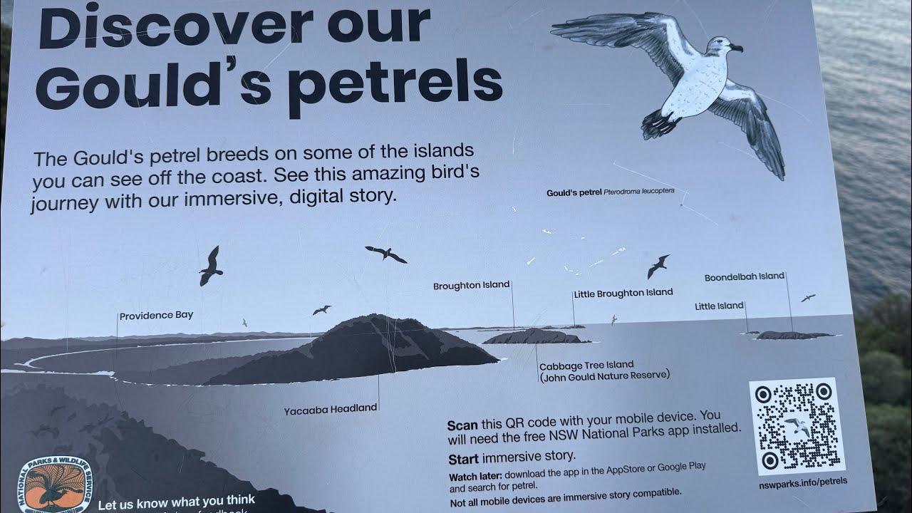 Tomaree Head (Please Subscribe to get more Videos)