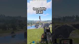 Remember This Next Time You Take Heli!