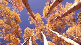Videoblocks - Sample