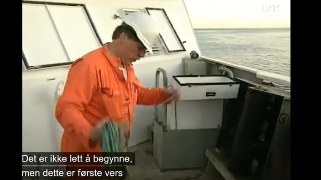 Hurtigrutematros Tom Krüger