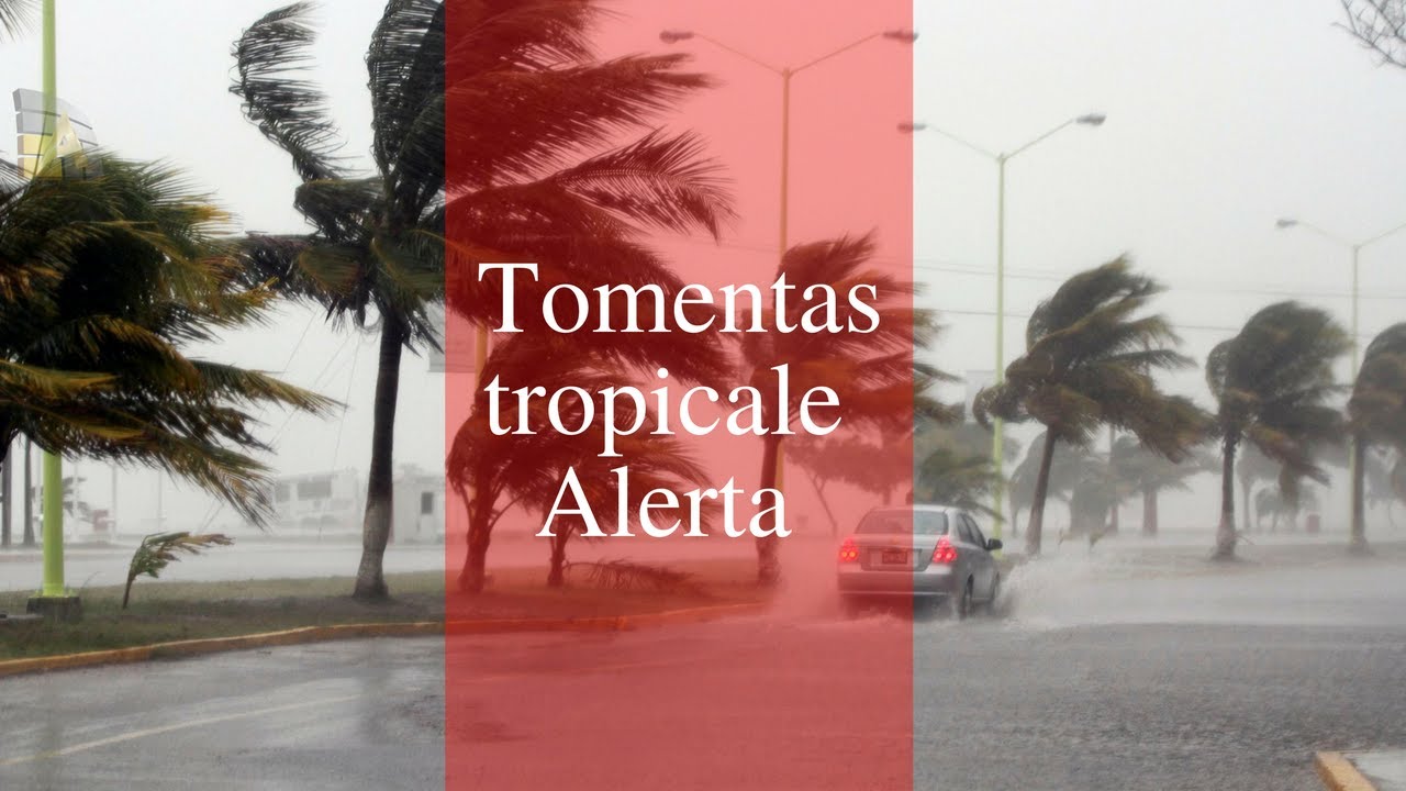 La tormenta Brett y la tormenta tropical numero 3, Generan alerta ultima hora pr